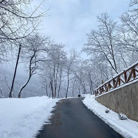 Kuca Za Odmor ,,balkan” Crni Vrh