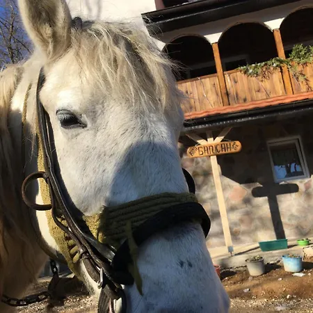 Kuca Za Odmor ,,balkan” *