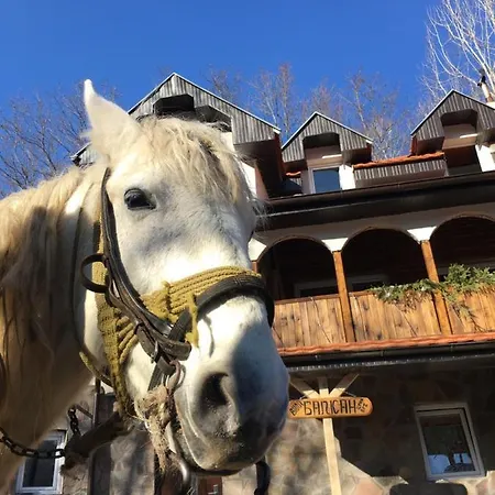 Kuca Za Odmor ,,balkan” Tatil Evi *